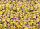 Despicable Me 3 Minions 1000 Teile Puzzle