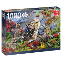JUMBO 18859 Eulen im Mondschein, 1000 Teile Puzzle