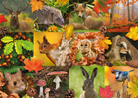 Tiere im Herbst 1000 Teile Puzzle