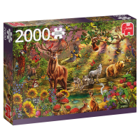 Jumbo Spiele, Magischer Wald bei Sonnenuntergang, 2000T...