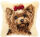 Vervaco PN-0014144 Knüpfkissenpackung Hund Yorkshire