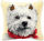 Vervaco PN-0014148 Knüpfkissenpackung Terrier