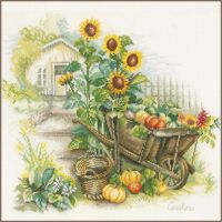 Lanarte Sonnenblumen und Schubkarre im Garten...