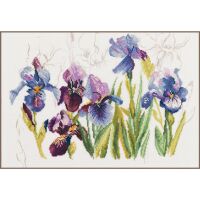 Lanarte PN-0008027 Blaue Blumen Irisses Kreuzstichpackung