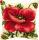 Vervaco PN-0008703 Kreuzstichkissenpackung Orientalischer Mohn