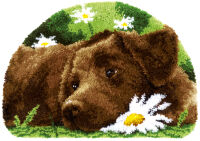 Vervaco PN-0153852 Knüpfteppichpackung Brauner Labrador
