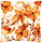 Vervaco PN-0166239 Kreuzstichkissen Herbstsamen
