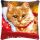 Vervaco PN-0170289 Kreuzstichkissenpackung Katze