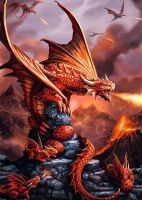 Anne Stokes, Feuerdrachen, 1000 Teile, Premium Plus Puzzle