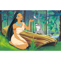 Trefl, Disney Pocahontas, Trefl 40 Jahre, 600 Teile Puzzle