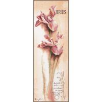 Lanarte PN-0008049 Iris Kreuzstichpackung