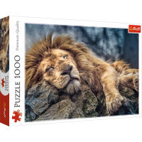 Trefl, schlafender Löwe, 1000 Teile Puzzle