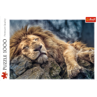 Trefl, schlafender Löwe, 1000 Teile Puzzle