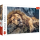 Trefl, schlafender Löwe, 1000 Teile Puzzle