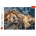 Trefl, schlafender Löwe, 1000 Teile Puzzle