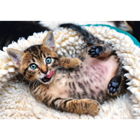 Trefl, Fröhliche Katze, 1000 Teile Puzzle