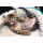 Trefl, Fröhliche Katze, 1000 Teile Puzzle