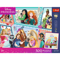 Trefl, Disney Princess, 300 Teile Premium Plus Puzzle