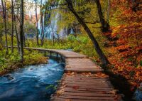 Herbstlicher Waldweg – 1000 Teile Puzzle von...