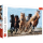 Trefl, Galoppierende Pferde, 1000 Teile Puzzle