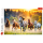 Trefl, Pferde, 1500 Teile Puzzle