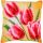 Kreuzstich-Kissen-SetTulpen - Stickbild vorgezeichnet