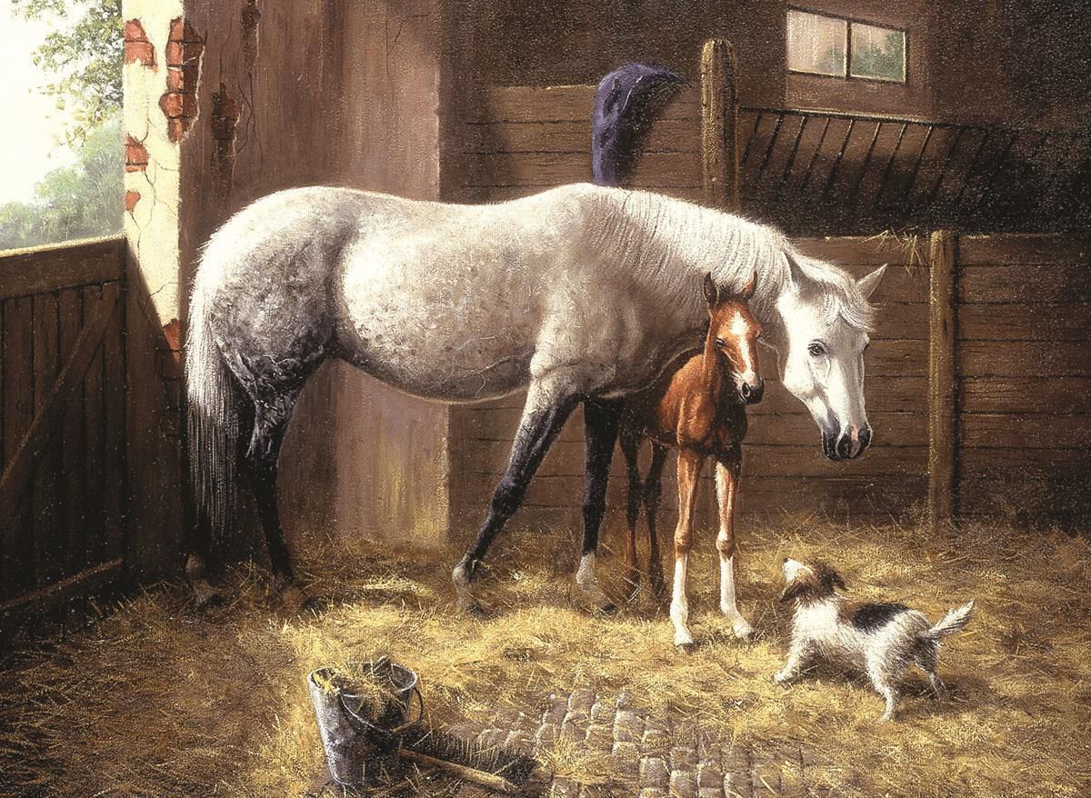 Бонни Маррис (Bonnie Marris) кони